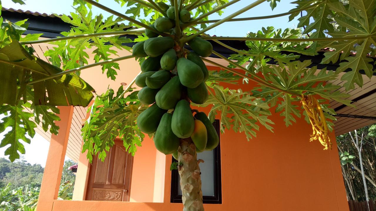 Baansuan Amaleena Ko Yao Noi Exterior foto