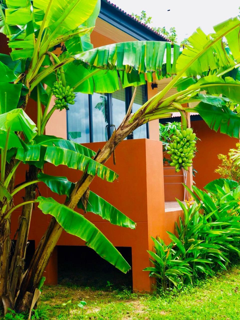 Baansuan Amaleena Ko Yao Noi Exterior foto