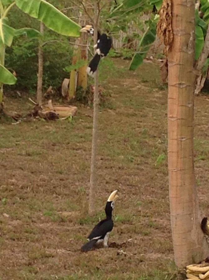 Baansuan Amaleena Ko Yao Noi Exterior foto